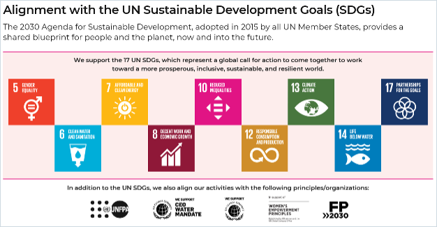 UN SDGs