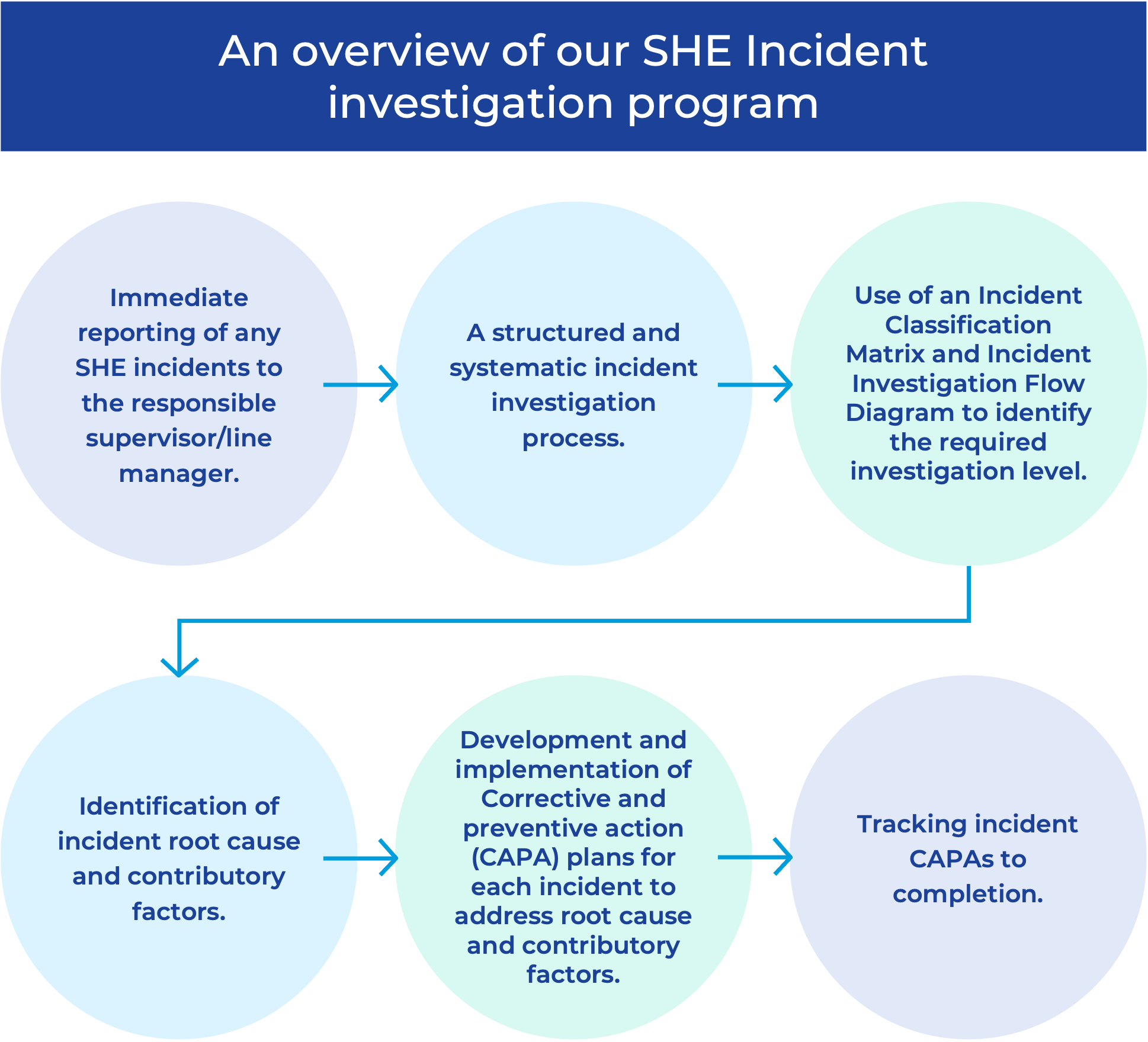 Graphic overview of Organon's incident investigation program