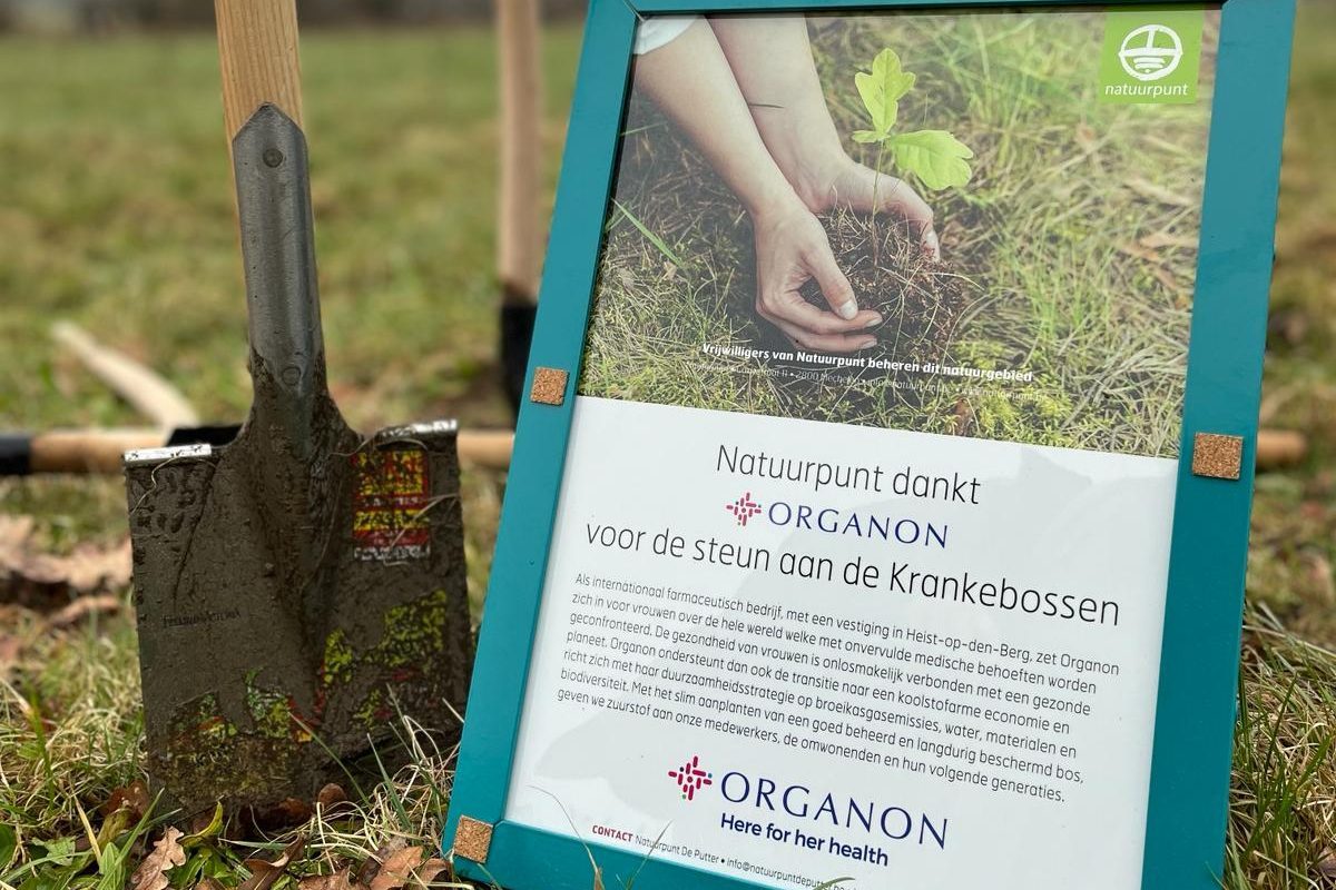 Image of shovel and sign from a tree planting volunteer event