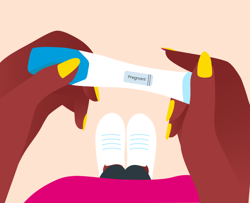 Organon Illustration zweier Hände, die einen positiven Schwangerschaftstest halten