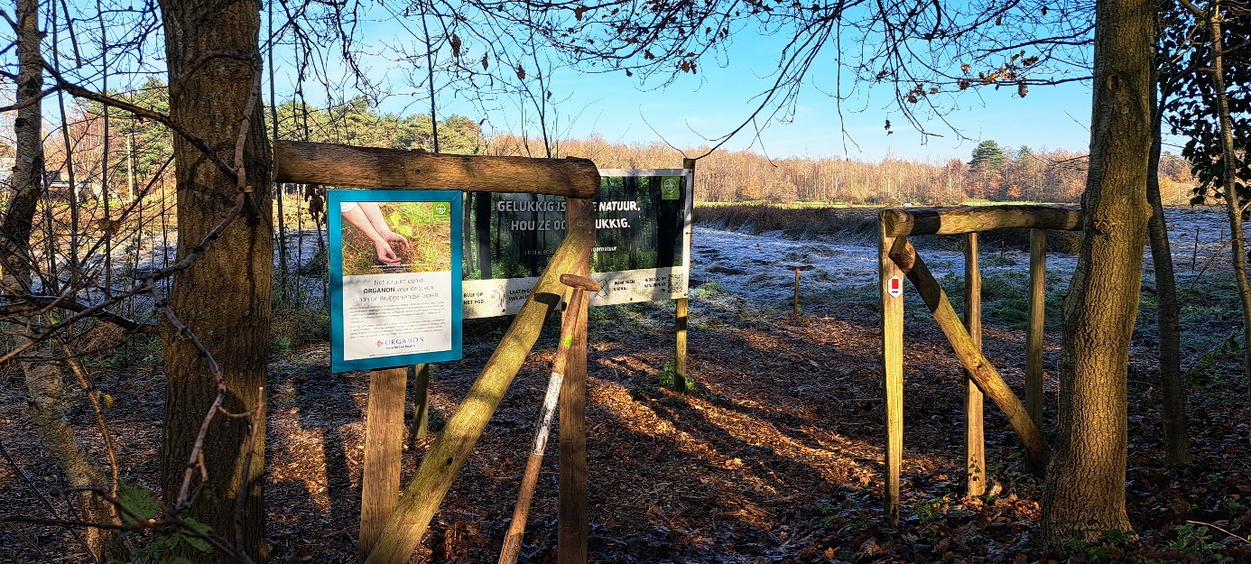 Photograph showing Bruggeneindse Goorensite tree planting site near Organon Heist-op-den-Berg production site in Belgium